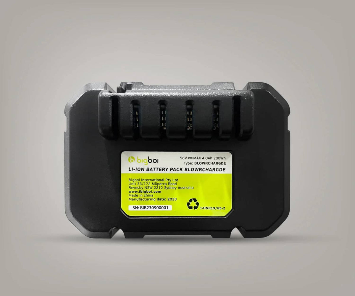 BOI-CHARGDBATTERY_01.jpg