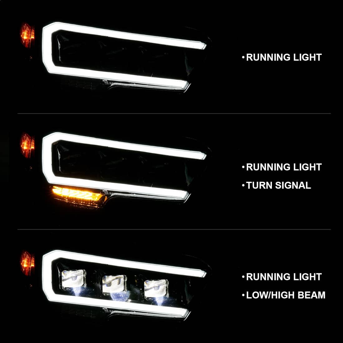 ANZ-111496_08.jpg