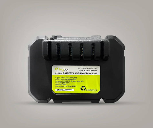 BOI-CHARGDBATTERY_01.jpg