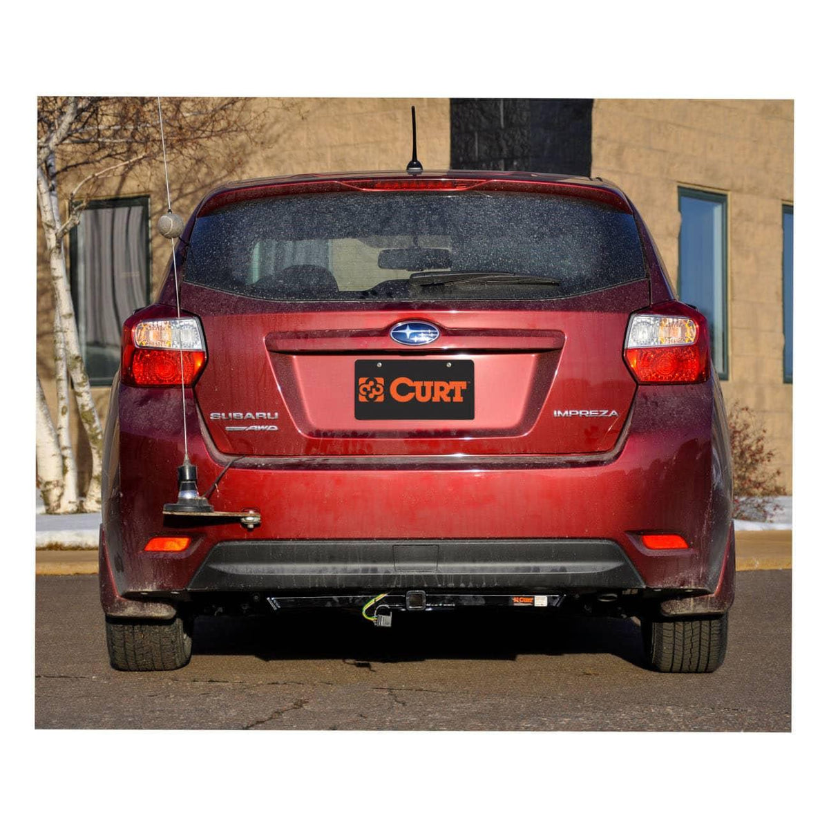 CUR-11286_08.jpg