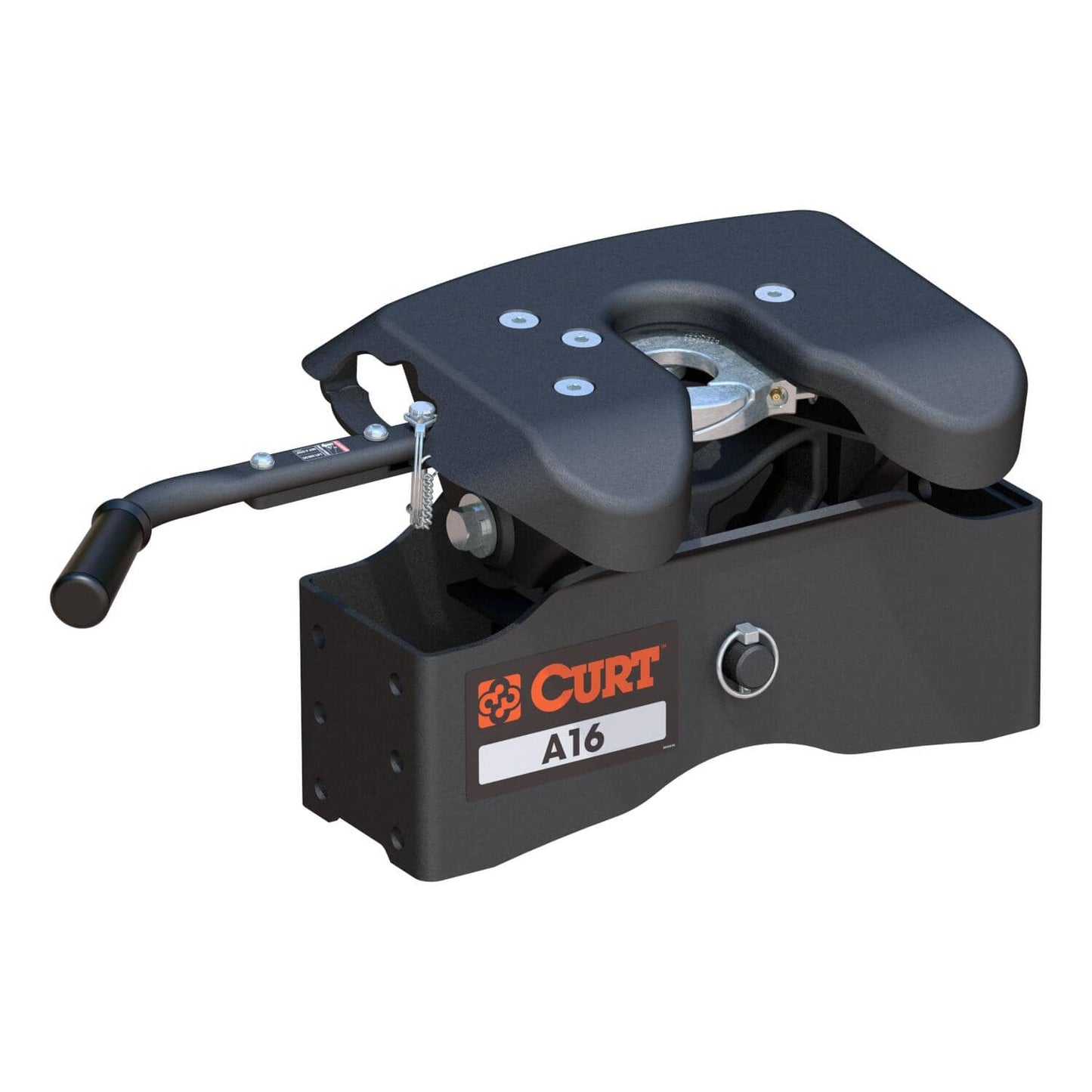 CUR-16520_01.jpg