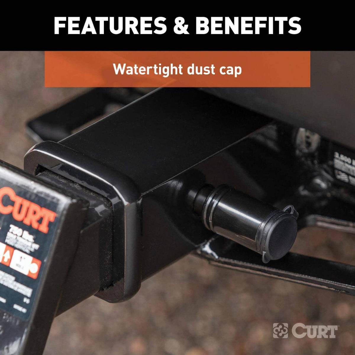 CUR-23518_06.jpg