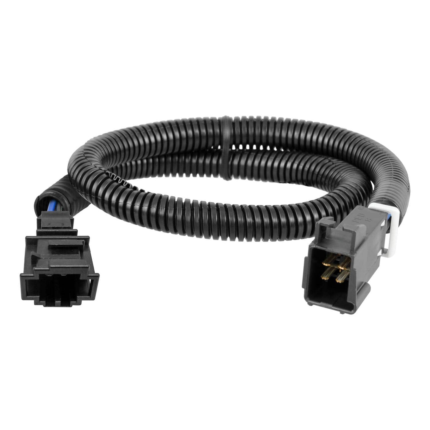 CUR-51528_01.jpg