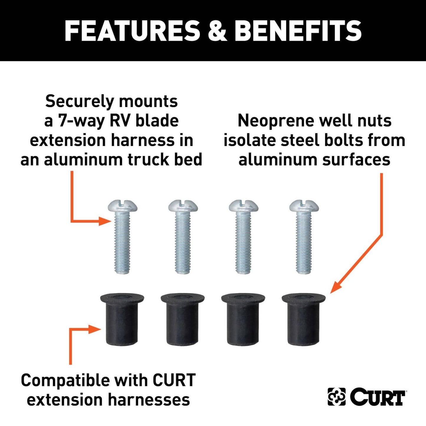 CUR-57007_02.jpg