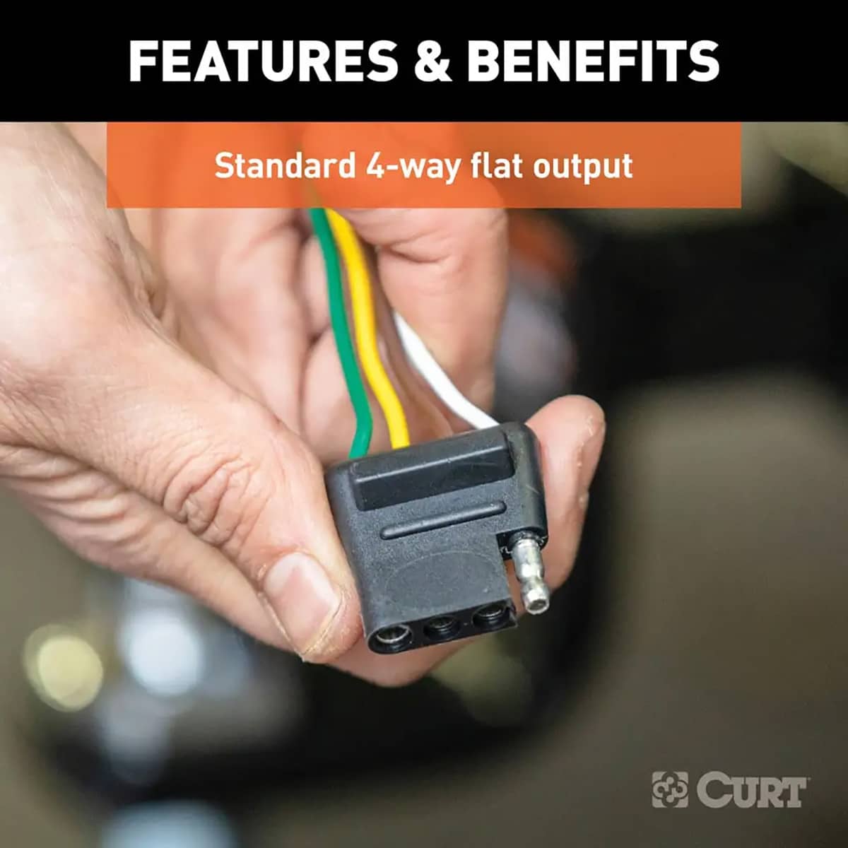 CUR-58041_03.jpg