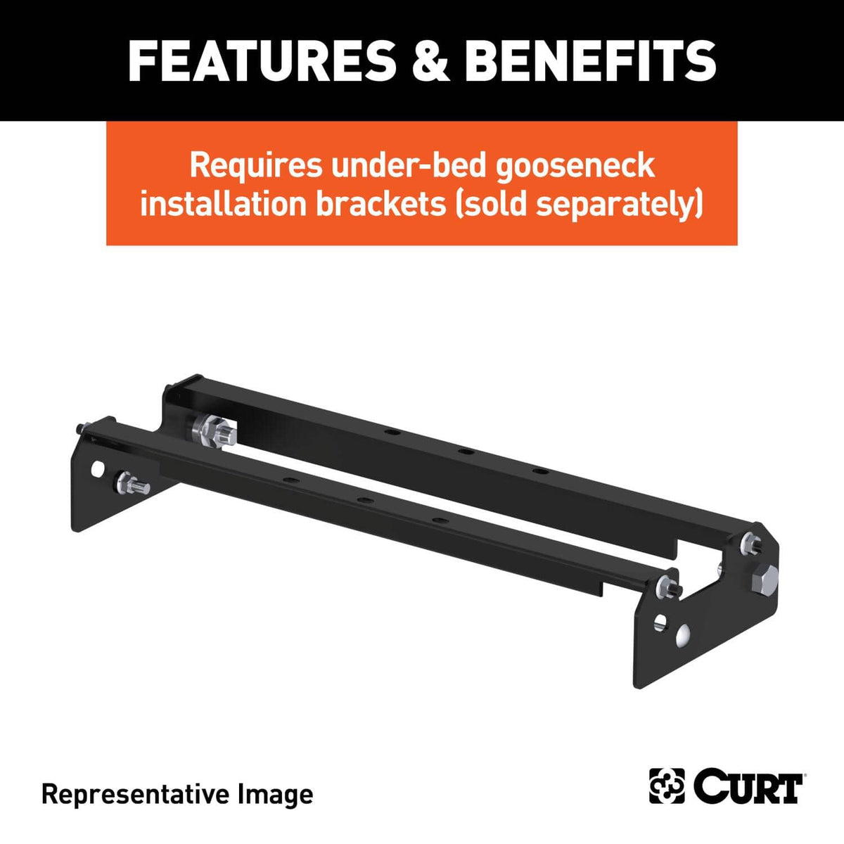 CUR-61052_03.jpg