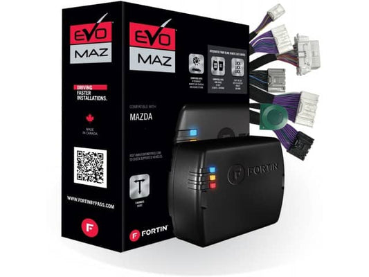 FOR-EVO-MAZT4_01.jpg