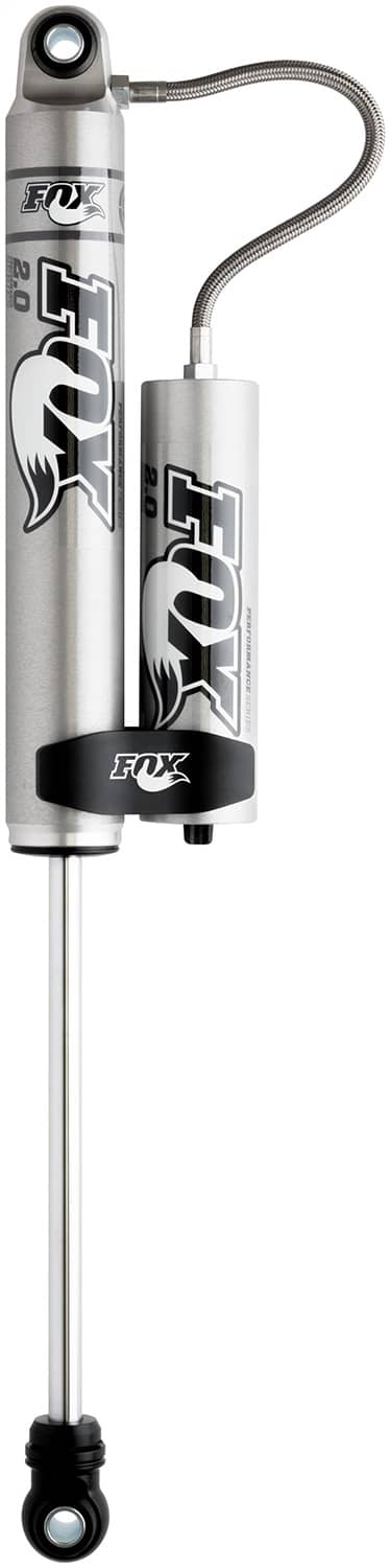 FOX-980-24-955_01.jpg