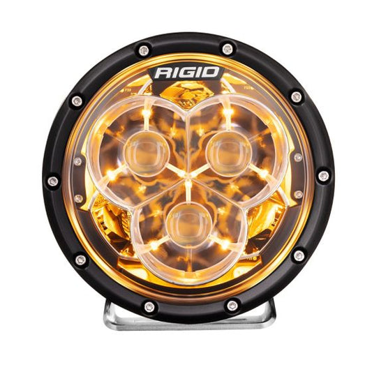 RIG-36211_01.jpg