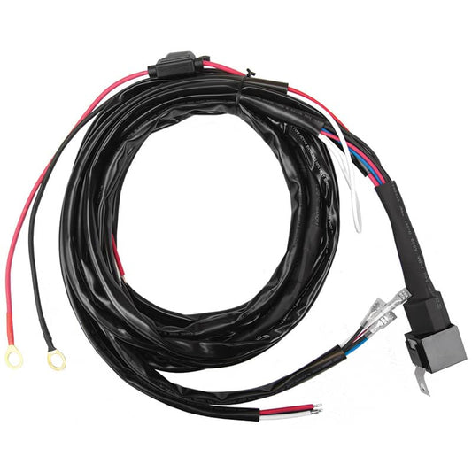 RIG-36360_01.jpg