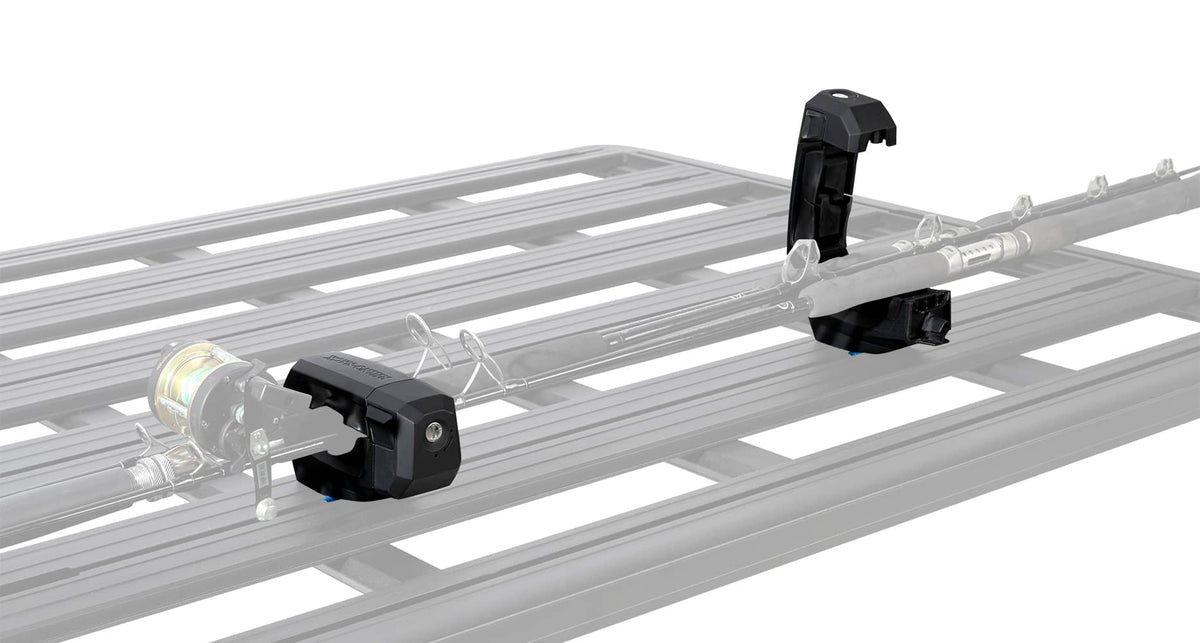 RNO-LSIT_07.jpg
